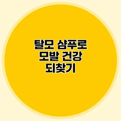 탈모 샴푸로 모발 건강 되찾기