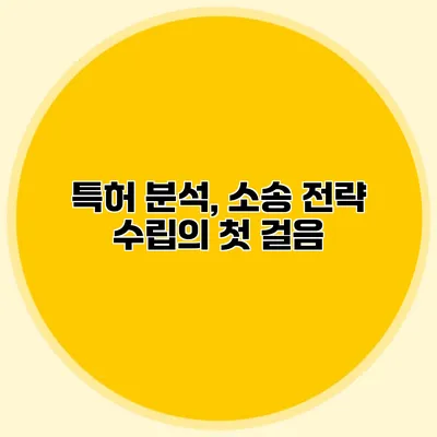 특허 분석, 소송 전략 수립의 첫 걸음