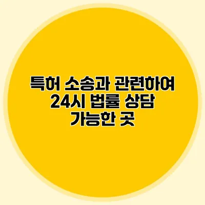 특허 소송과 관련하여 24시 법률 상담 가능한 곳