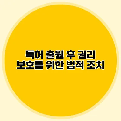 특허 출원 후 권리 보호를 위한 법적 조치