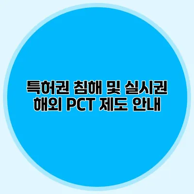 특허권 침해 및 실시권 해외 PCT 제도 안내