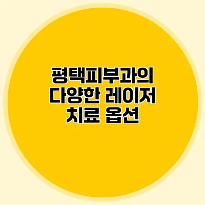 평택피부과의 다양한 레이저 치료 옵션