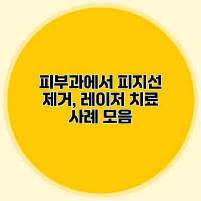 피부과에서 피지선 제거, 레이저 치료 사례 모음