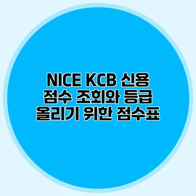 NICE KCB 신용 점수 조회와 등급 올리기 위한 점수표