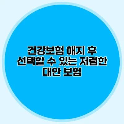 건강보험 해지 후 선택할 수 있는 저렴한 대안 보험