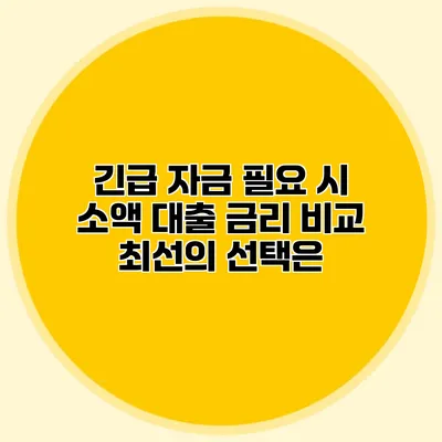 긴급 자금 필요 시 소액 대출 금리 비교 최선의 선택은?