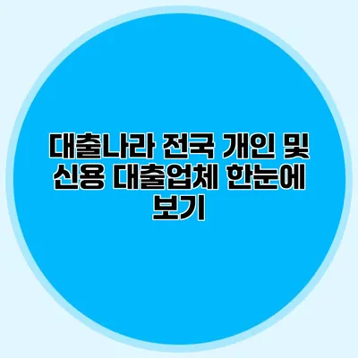 대출나라 전국 개인 및 신용 대출업체 한눈에 보기