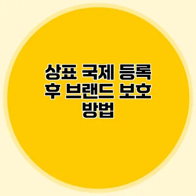 상표 국제 등록 후 브랜드 보호 방법