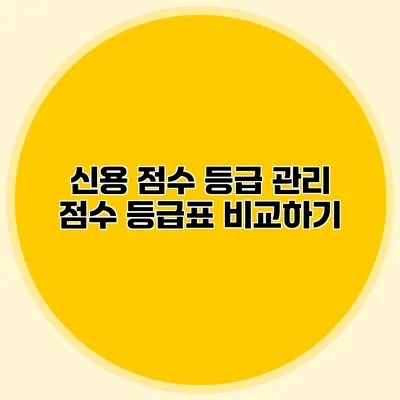 신용 점수 등급 관리 점수 등급표 비교하기