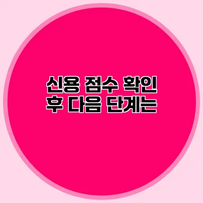 신용 점수 확인 후 다음 단계는?