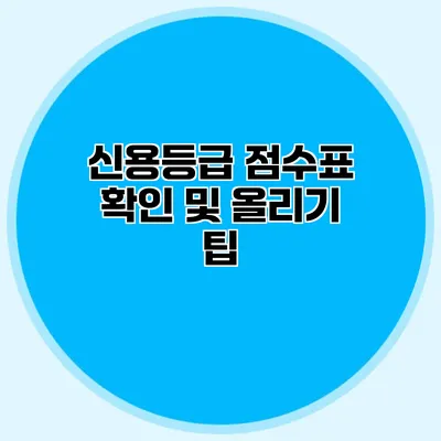 신용등급 점수표 확인 및 올리기 팁