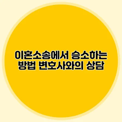 이혼소송에서 승소하는 방법 변호사와의 상담