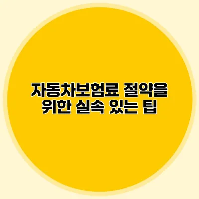 자동차보험료 절약을 위한 실속 있는 팁